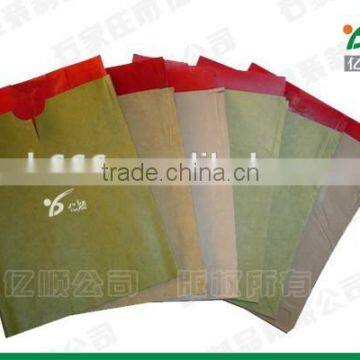 Hot Selling Apple Growing Paper Bag photo-4