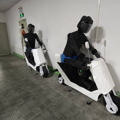 BYD Fake Human and Fake Car Experimental Model Production Factory photo-3