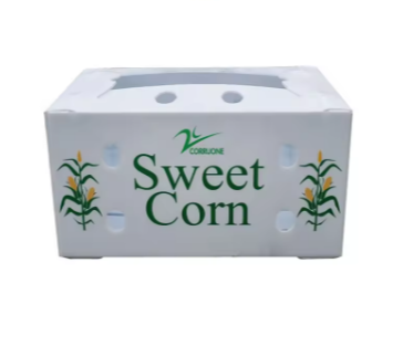 Reusable PP Hollow Packaging Box – Corrugated Plastic Crate for Fruit and Vegetable Transport photo-2