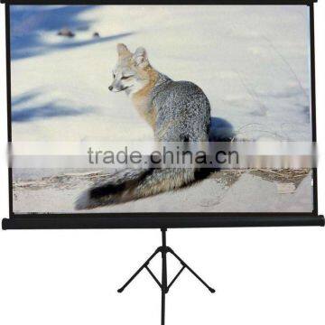 matt white tripod screen
