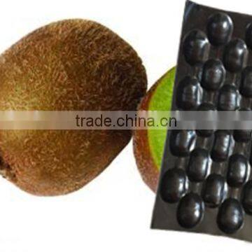 Chinese Zhentao hotsale competitive price plastic packaging fruit blister tray