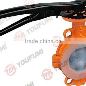 PFA Lined Butterfly Valve Wafer type