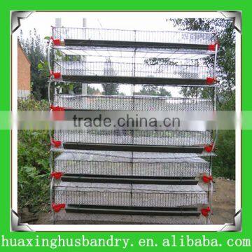 super quality quail layer cage design