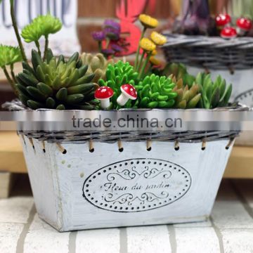 Garden Tin Planter for the Decor