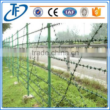 Factory Direct Sale Welded Straight Razor Wire