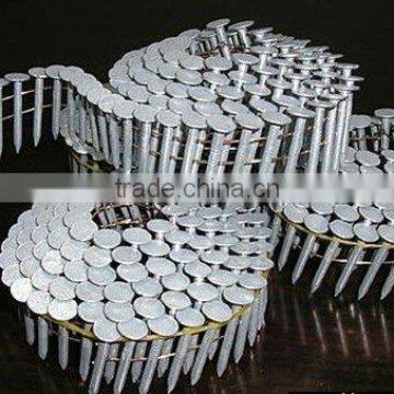 HDG coil roofing nails smooth shank