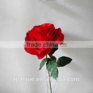 Cheap wholesale Beautiful Single Red Rose Flower