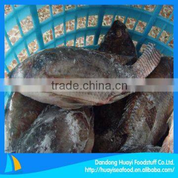 frozen tilapia wholesale tilapia whole fish