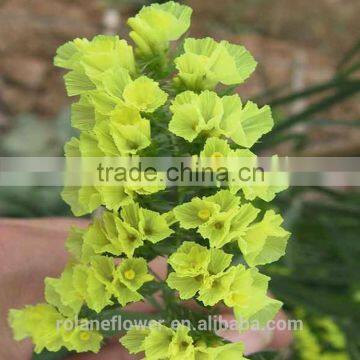 Kunming wholesale rose flowers artificial artificial flowers with 60-80cm long from Yunnan, China