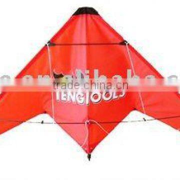 Delta Sports Kite