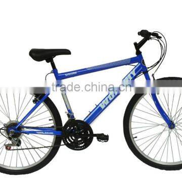 2015 new products bike mtb bic adult bike custom