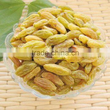 2016 new seedless green raisins fruit product dry fruit