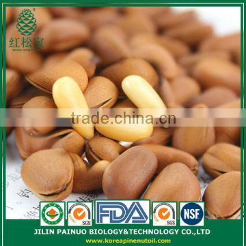 High Quality Hot Sale Organic Siberian Open Pine Nuts in Shell