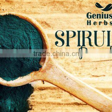 Best Spirulina Powder Bulk Seller