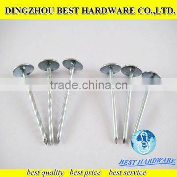 high quality smooth shank galvanized roofing nails price