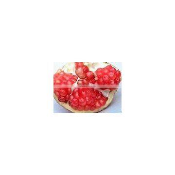 Pomegranate juicer Powder