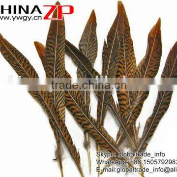 ZPDECOR Factory Wholesale Leading Selling Natural 15cm-20cm Golden Pheasant Tail Feathers for Carnivals photo-4