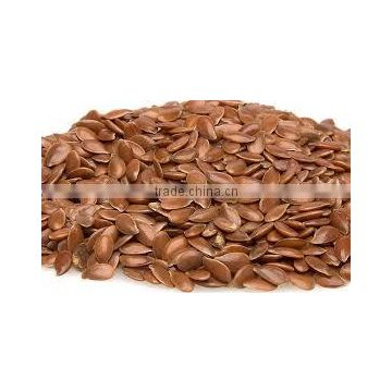 linum usitatissimum(flax seed)