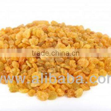 Golden Raisins