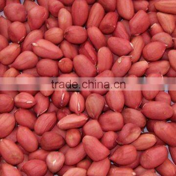 VSN3000-C600L Belt CCD Color Sorter With Newest Technology For Red Skin Peanut Kernels