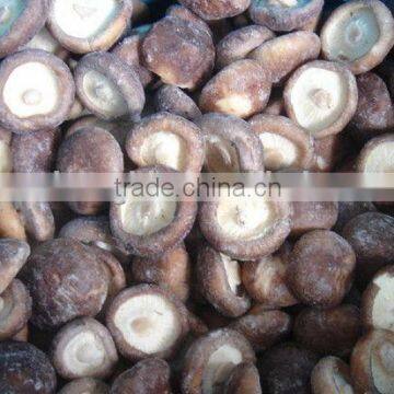 BRC,HALAL,KOSHIER IQF shiitake