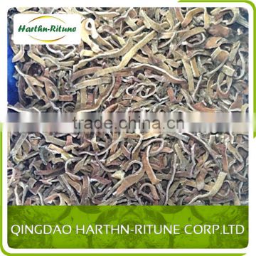 On-Time Shipment IQF Frozen black fungus cut