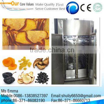 Stainless steel Fruit drying machine/food drying machine/vegetable dryer machine 0086-13838527397