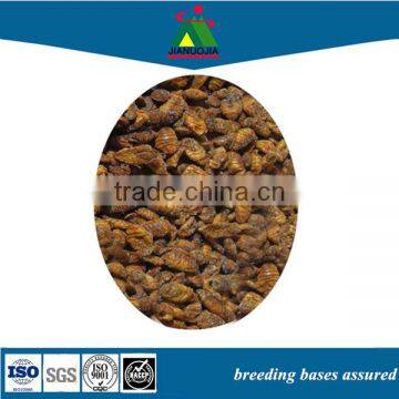 suppliers exporters wholesale organic pet tropical bird fish food