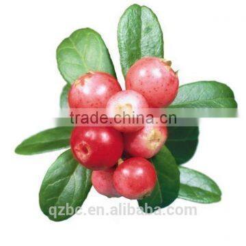 providing intense moisturization and skin healing for massage pure rosehip seed oil