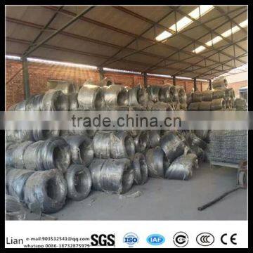 Low Price Electro BWG22 Galvanized Iron Wire Binding Wire photo-6