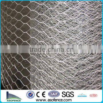 Metal Poultry Fencing/ Metal Wire Fence Netting(Anping A.S.O Factory)