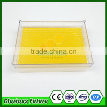 Glorious-future hot selling Beekeeping 500g Plastic transparent honey comb container