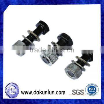 Customized Black Screw With Nut In China photo-4