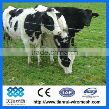 Grassland fence, field fence, cattle fence