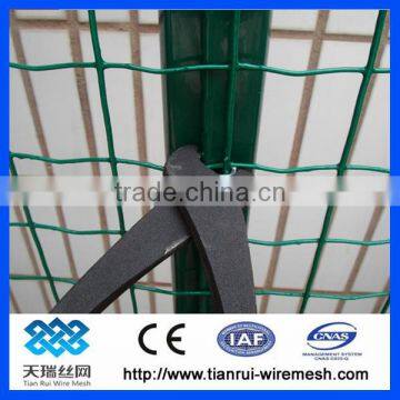 PVC Coated Holland Wire Mesh Fence Manufacturer&Exporter photo-2