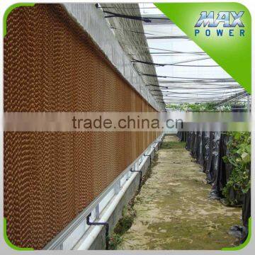 Hot Sale Greenhouse Wet Pad for Cooling System photo-3