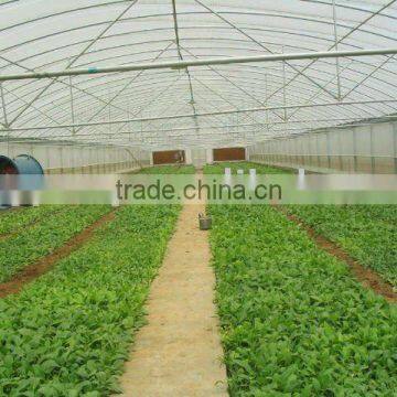 Vegetable growing Greenhouse (ISO9001:2000)