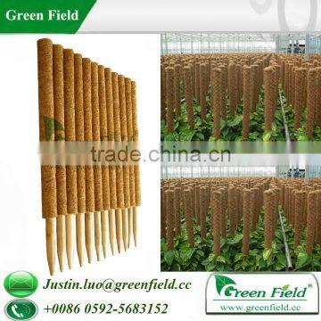 Coco Garden Stakes Green