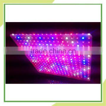 Hot Sale !!Hydroponic Grow Cabinets Power 1000w Led Lights -0086 -86 -086 -china photo-5
