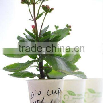 230 Gsm PLA Coated Paper Laminated Paper Double Layer photo-2