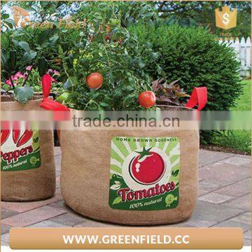 Green Field Round Jute Fabric Tomato Grow Bags