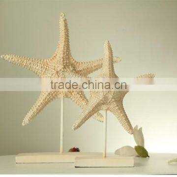 Custom Home Decor Art Artificial Starfish Statue photo-4