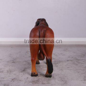 Definitive Brahman Looking Left photo-4