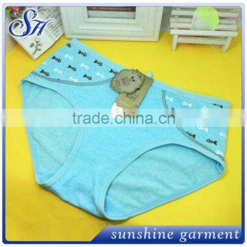 Wholesale New 2015 Carton Sexy Briefs Cotton Underwear photo-5