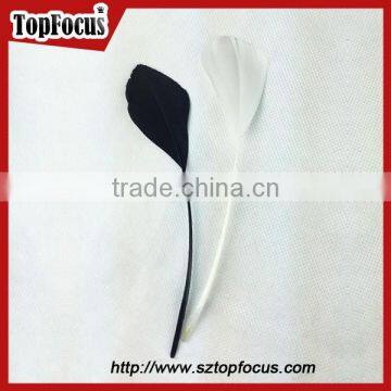 Fashion factory prices wholesale prime quality dyed goose wing feather