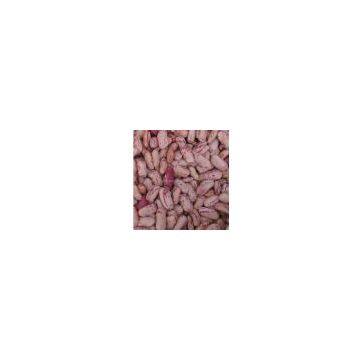 Light speckeld kidney beans