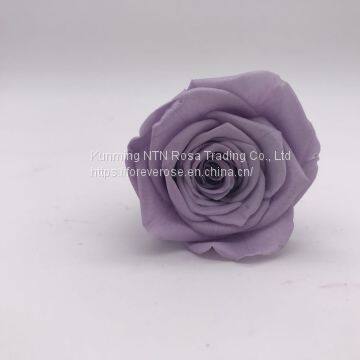 Preserved Flowers for Party Decoration photo-3
