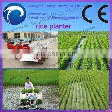 Paddy Sowing Machine/paddy Planting Machine/rice Sowing Machine 0086-13837162172 photo-2