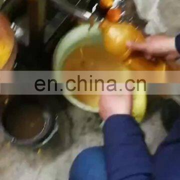 Juice Extractor Machine / Spiral Fruit Juicer And Crusher / Fruit Seed Crusher and Juicer