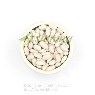 Color Sorting Quality Spanish White Kidney Beans